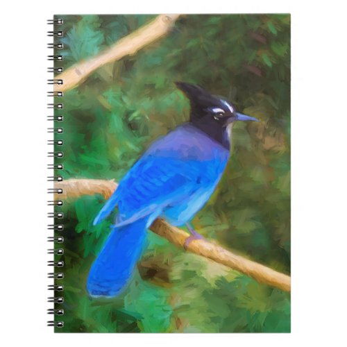 Stellers Jay Painting _ Original Bird Art Notebook