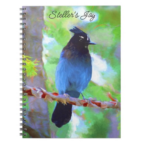 Stellers Jay Painting _ Original Bird Art Notebook