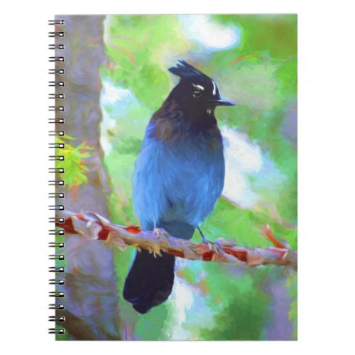 Stellers Jay Painting _ Original Bird Art Notebook