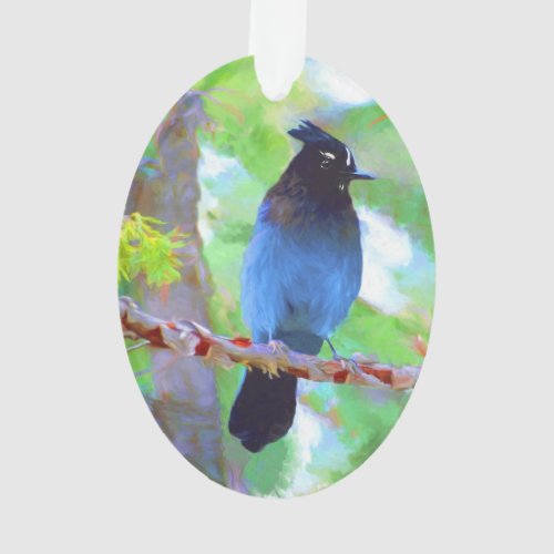 Stellers Jay Painting _ Original Bird Art Ornament