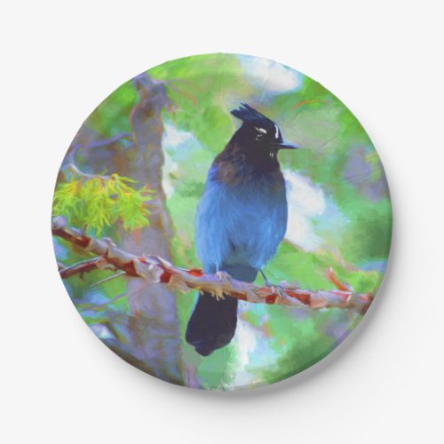 Stellers Jay Painting _ Original Bird Art Paper Plates