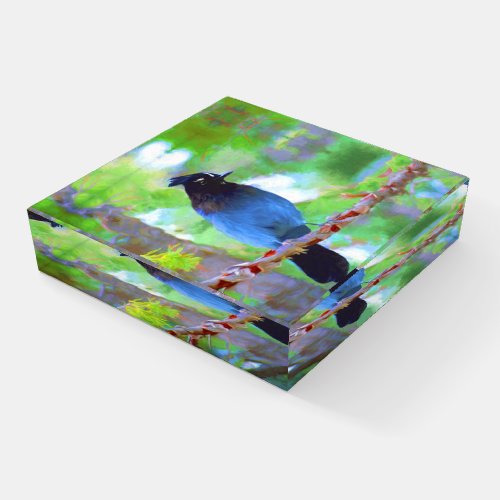 Stellers Jay Painting _ Original Bird Art Paperweight