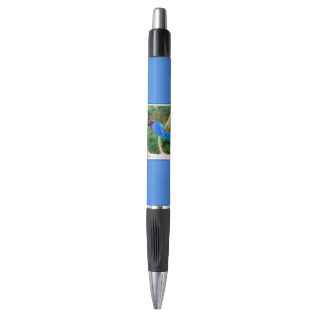 Steller's Jay Painting - Original Bird Art Pen (Front Vertical)