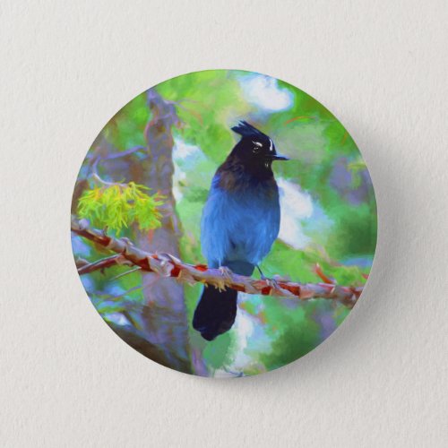 Stellers Jay Painting _ Original Bird Art Pinback Button