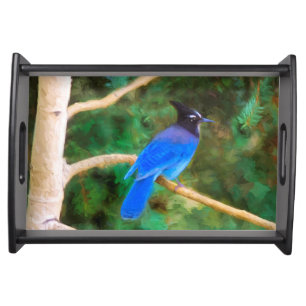 Steller's Jay Painting - Original Bird Art Serving Tray