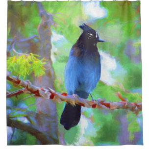 Steller's Jay Painting - Original Bird Art Shower Curtain