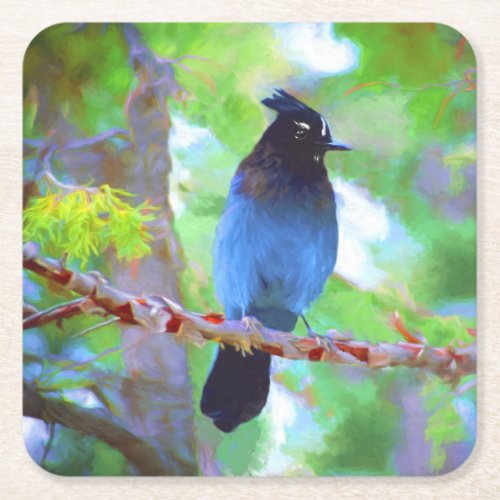 Stellers Jay Painting _ Original Bird Art Square Paper Coaster