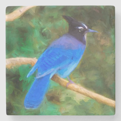 Stellers Jay Painting _ Original Bird Art Stone Coaster