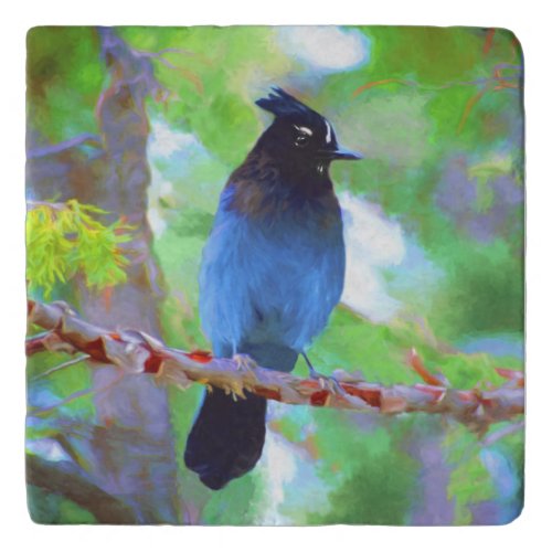 Stellers Jay Painting _ Original Bird Art Trivet