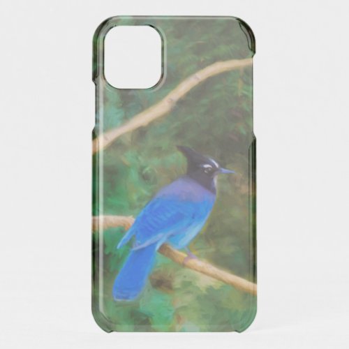 Stellers Jay Painting _ Original Bird Art iPhone 11 Case