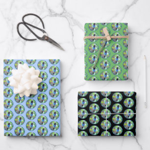Steller's Jay Painting - Original Bird Art Wrapping Paper Sheets