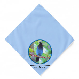 Steller's Jay Painting Original Wild Bird Art Bandana