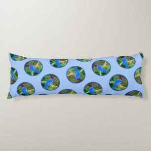 Steller's Jay Painting Original Wild Bird Art Body Pillow