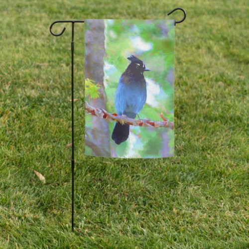 Stellers Jay Painting _ Original Wild Bird Art Garden Flag
