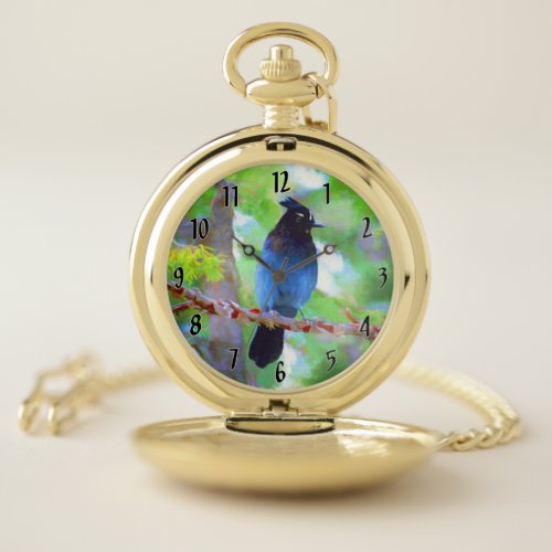 Stellers Jay Painting _ Original Wild Bird Art Pocket Watch