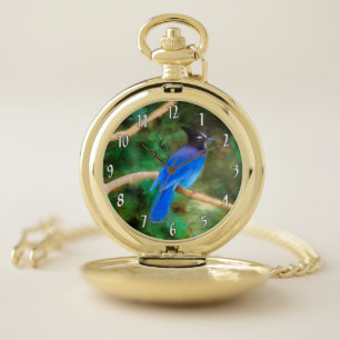 Steller's Jay Painting - Original Wild Bird Art Pocket Watch