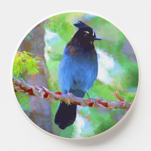 Stellers Jay Painting _ Original Wild Bird Art PopSocket