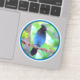Steller's Jay Painting - Original Wild Bird Art Sticker