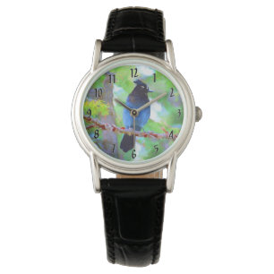 Steller's Jay Painting - Original Wild Bird Art Watch