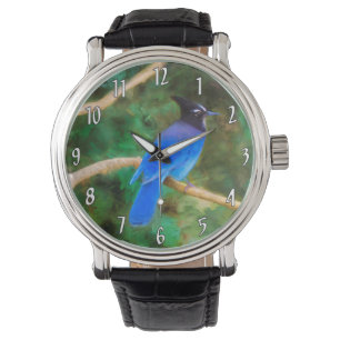 Steller's Jay Painting - Original Wild Bird Art Watch