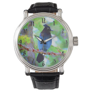 Steller's Jay Painting - Original Wild Bird Art Watch