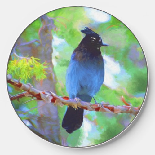 Stellers Jay Painting _ Original Wild Bird Art Wireless Charger