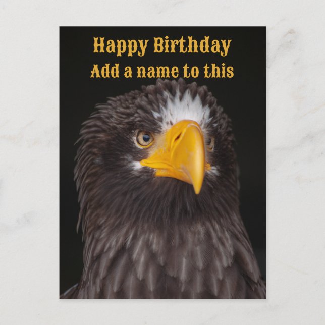 Steller's sea eagle photograph, customizable postcard (Front)