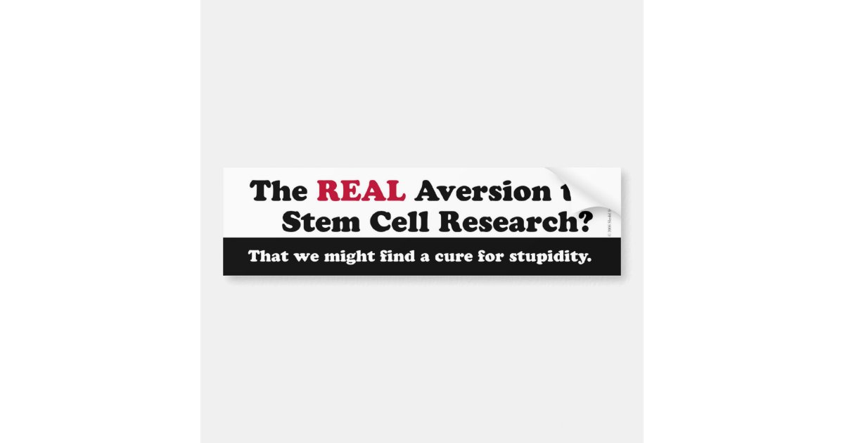 Stem Cell Research Bumpersticker Bumper Sticker | Zazzle