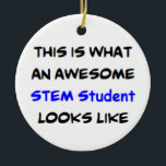 stem student, awesome ceramic ornament<br><div class="desc">stem student</div>