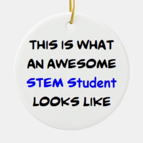 stem student awesome ceramic ornament