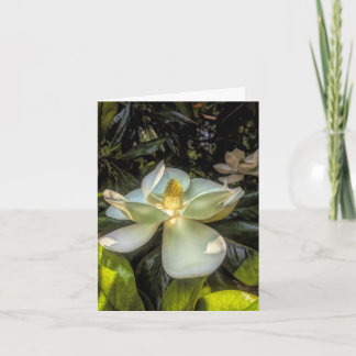 Stenton House Magnolia Thank You Card