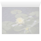 Step Bridge (Inside Horizontal (Bottom))