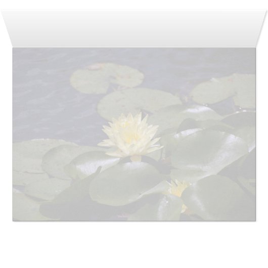 Step Bridge (Inside Horizontal (Bottom))