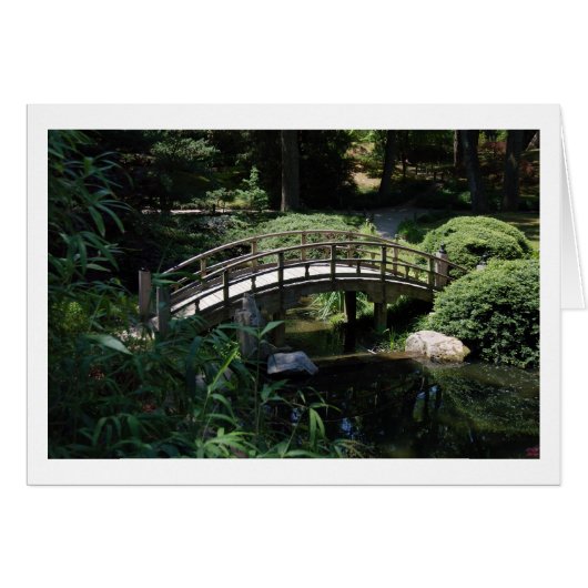 Step Bridge (Front Horizontal)