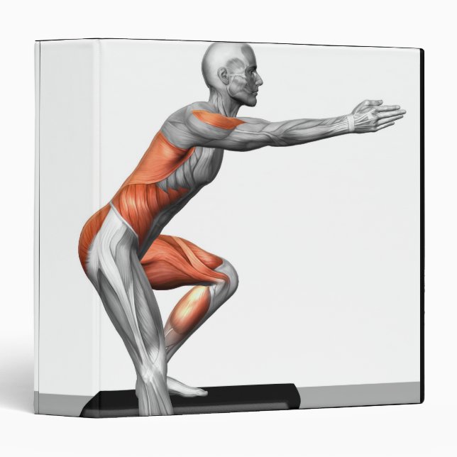 Step-Down Exercises 3 Ring Binder (Front/Spine)