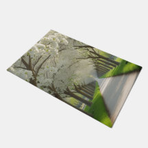 "Step Into Serenity – Nature’s Tunnel 