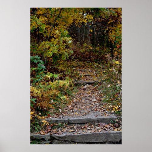 Step to the Appalachian Trail Poster