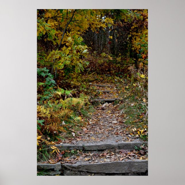 Step to the Appalachian Trail Poster (Front)