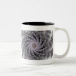 Stephani Fractal Two-Tone Coffee Mug
