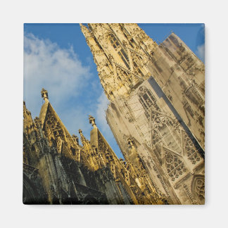 Stephansdom Magnet