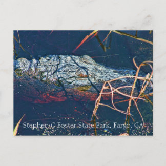 Stephen C Foster State Park, Gator Postcard