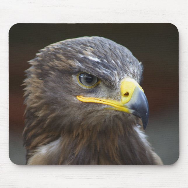 Steppe Eagle Close-Up Portrait Mouse Pad (Front)