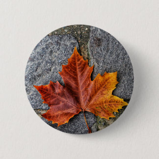 "Stepping into Autumn" Button