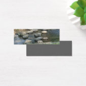 Stepping Stones Bookmark (Desk)