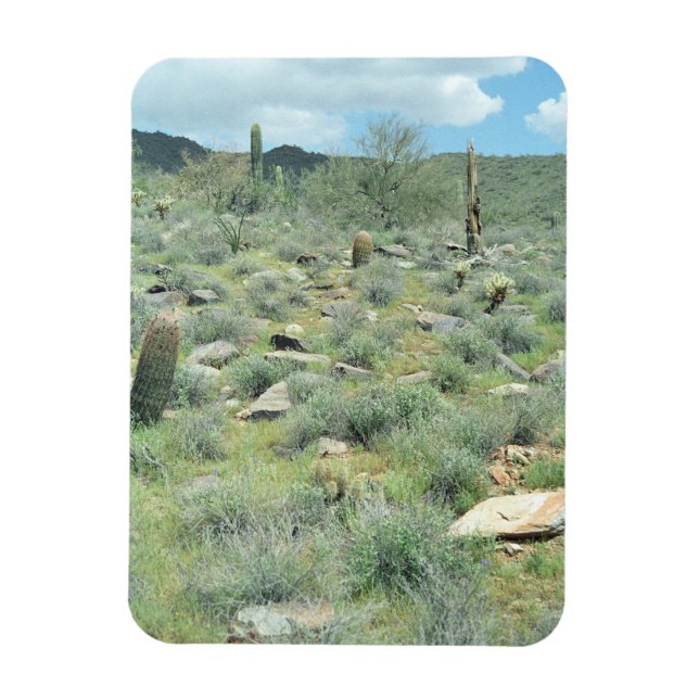 Stepping Stones Decorative Western Desert Magnet (Vertical)