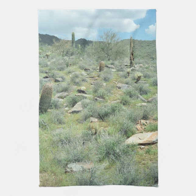 Stepping Stones Desert Photo Kitchen Towels (Vertical)