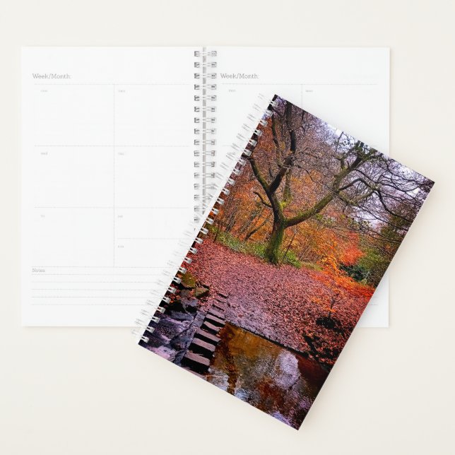 Stepping stones planner (Display)