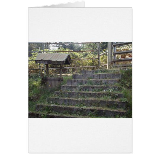 Steps Card
