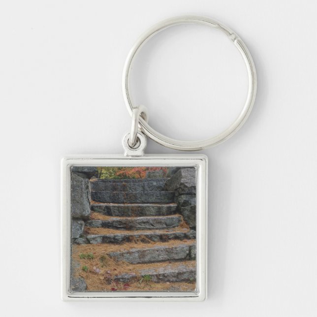Steps covered in pine needles, White Mountain Keychain (Front)