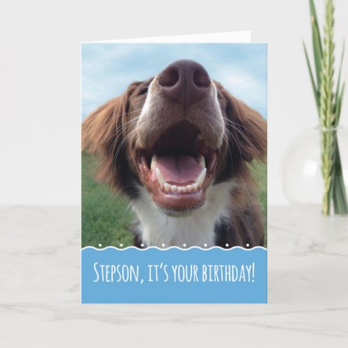 Stepson Birthday Happy Dog with Big Smile Card